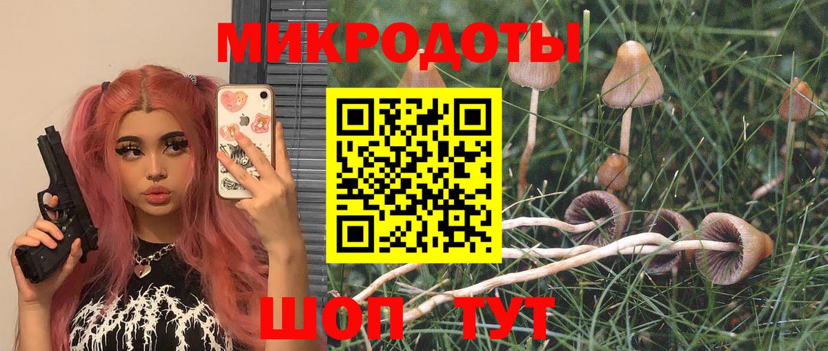 Псилоцибиновые грибы GOLDEN TEACHER  Вход с VPN  Хабаровск 
